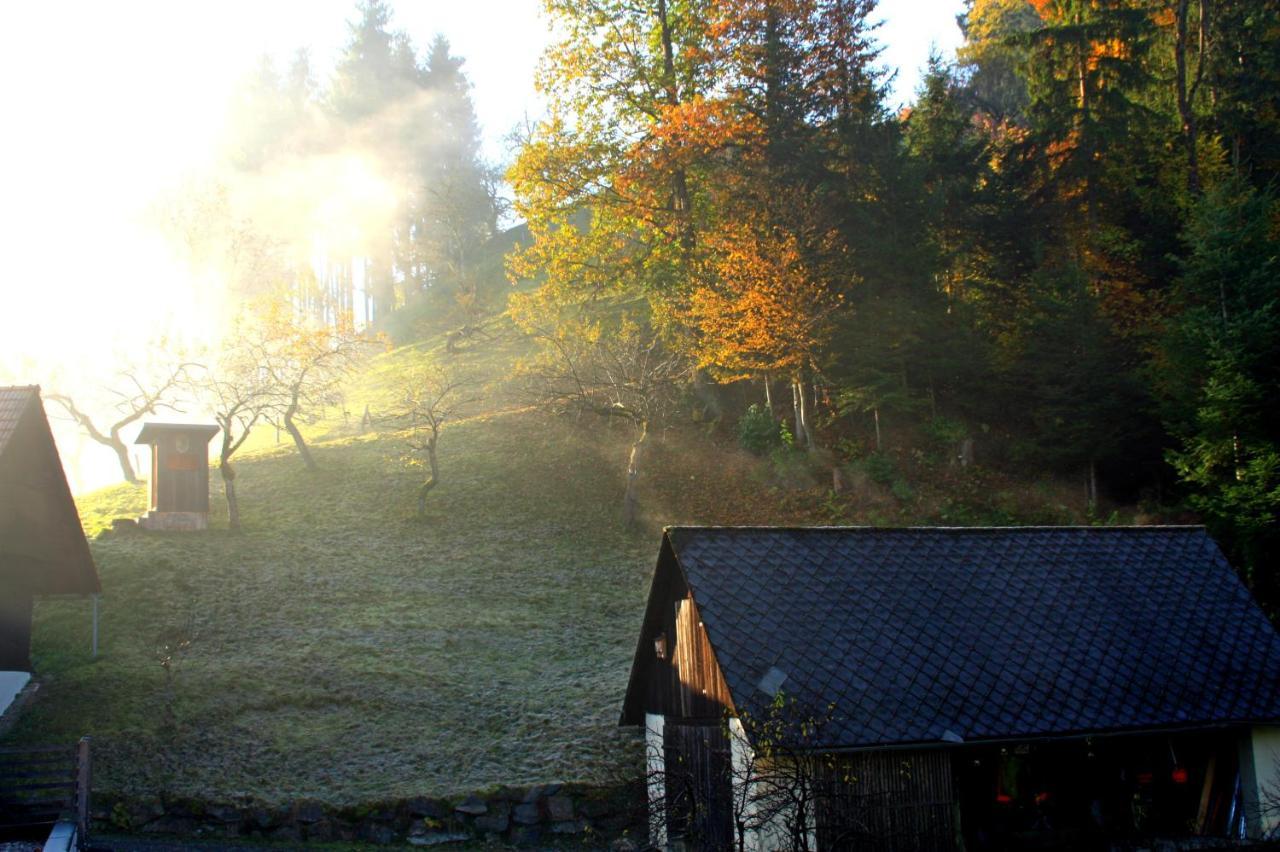 Ferienwohnung Karasek Deluxe Sattendorf エクステリア 写真